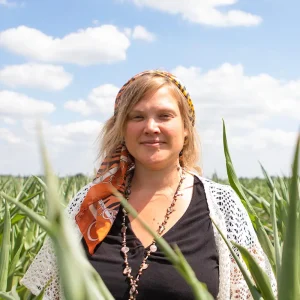 Boven het maaiveld Boven het maaiveld